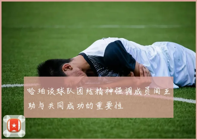 哈珀谈球队团结精神强调成员间互助与共同成功的重要性