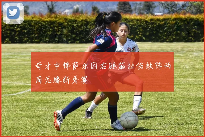 奇才中锋萨尔因右腿筋拉伤缺阵两周无缘新秀赛