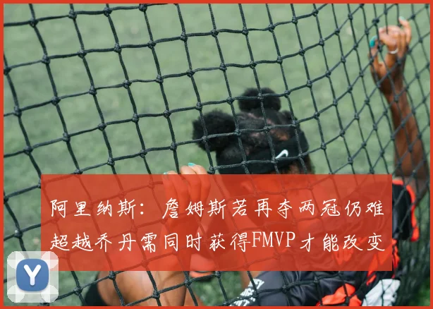 阿里纳斯：詹姆斯若再夺两冠仍难超越乔丹需同时获得FMVP才能改变局面