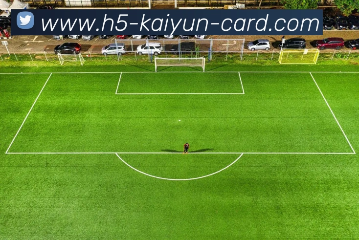 App Interface Preview