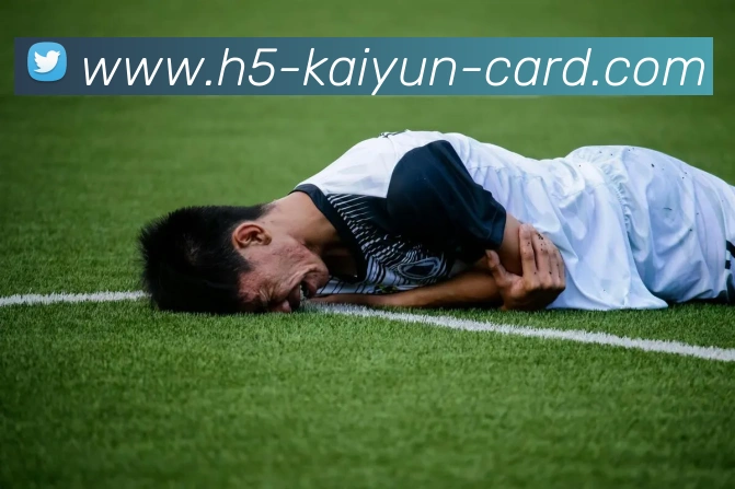 开云棋牌官网APP 封面图